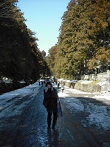 DSCF8015