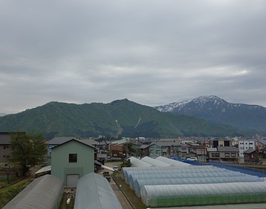 DSC00290
