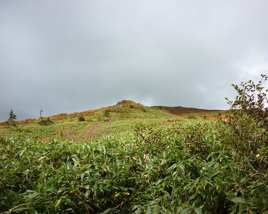P1140103