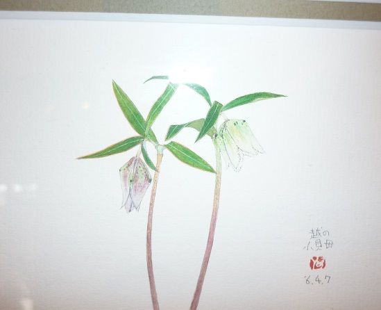 P1120855
