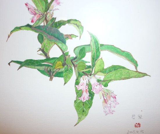 P1120857