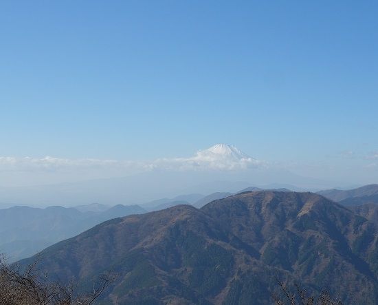 DSC02430