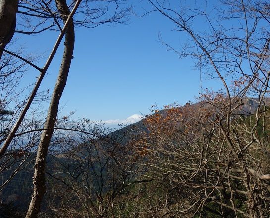 DSC02413
