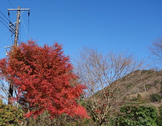 DSC02407