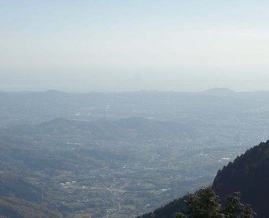 DSC02442