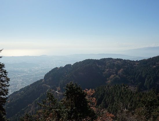 DSC02409