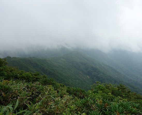 DSC00438