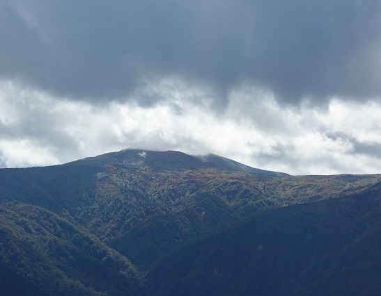 DSC02244