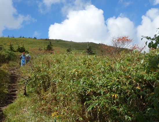 DSC02239