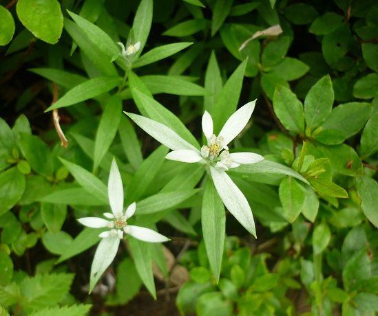 P1120901