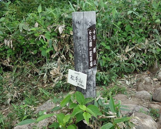 DSC00441