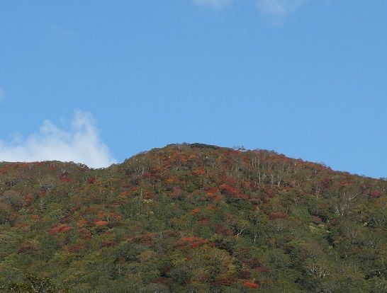 DSC02252