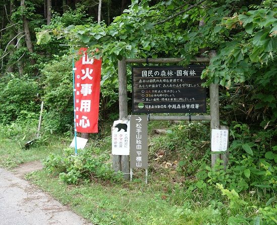 DSC00428