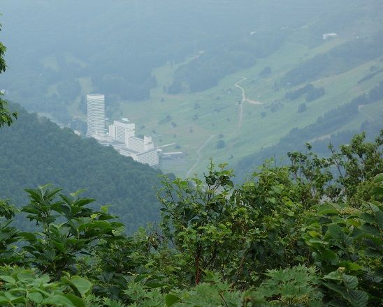 DSC00436