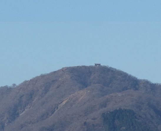 DSC02419