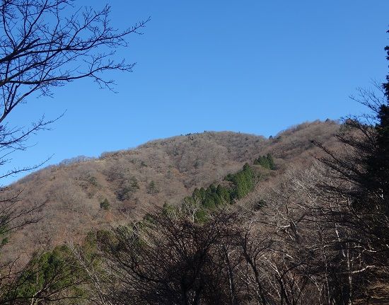 DSC02416