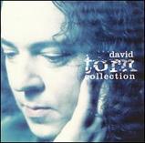 David Torn the collection