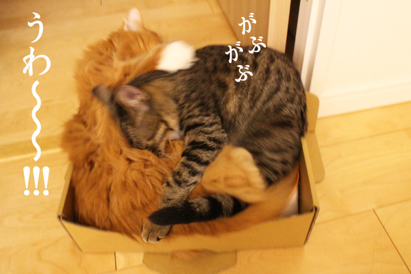 20171115_うみとはるその後