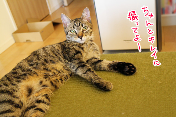 ハル大きくなった3
