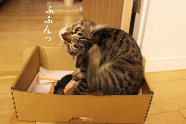 20171115_うみとはるその後2