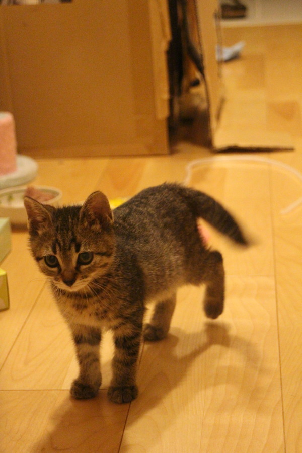 ハル大きくなった4