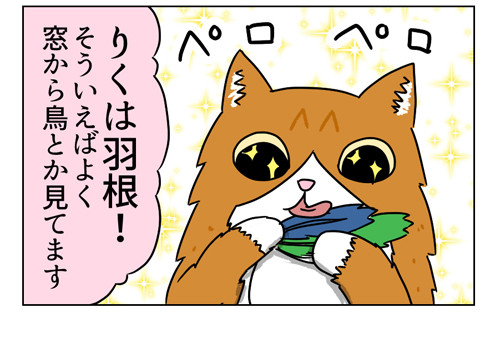 うちの猫たちが大興奮のおもちゃ_1_04