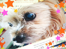 BlogPaint