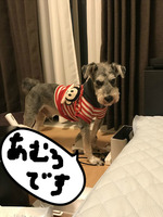 BlogPaint