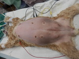 P5250685