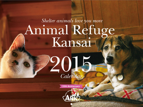 2015coverwallS-1
