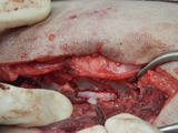 PB058264