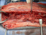 PB058248
