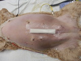 P5250704