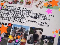 BlogPaint