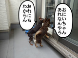 BlogPaint
