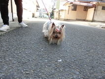 CIMG0869