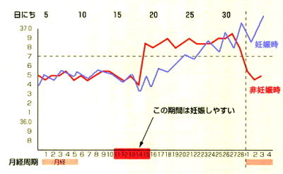 妊娠時 基礎体温グラフ