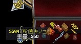 きのこ