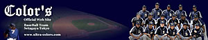 Official Web Site Baner