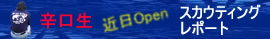 ������ƤΥ�ݡ��Ȥ��Ϥ��� ư��⤢��� 7/16Openͽ��