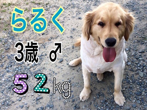 raruku3_52kg