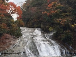 2014-11-30-12-13-47