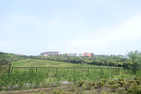 DSC08445