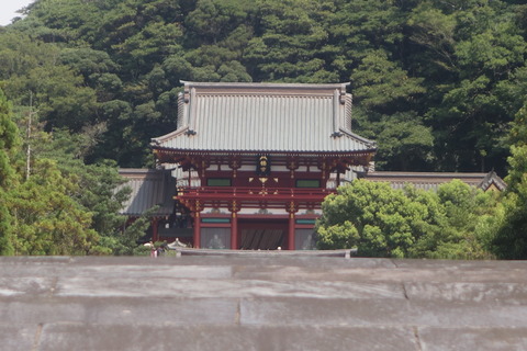 DSC08420
