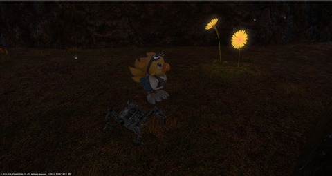 FF14_000871