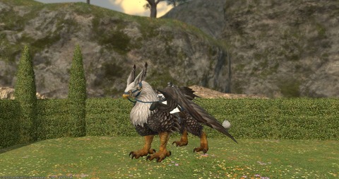FF14_SS000215