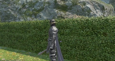 FF14_SS002383