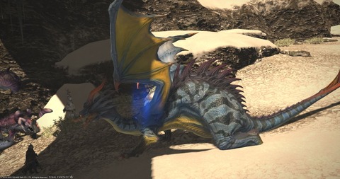 FF14_002463