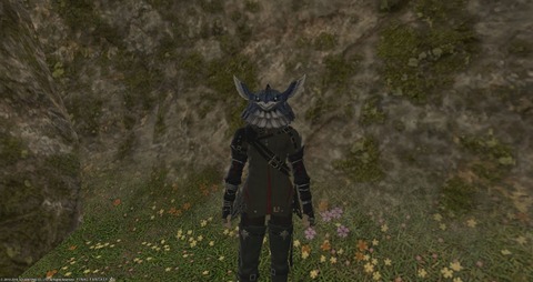 FF14_SS000733