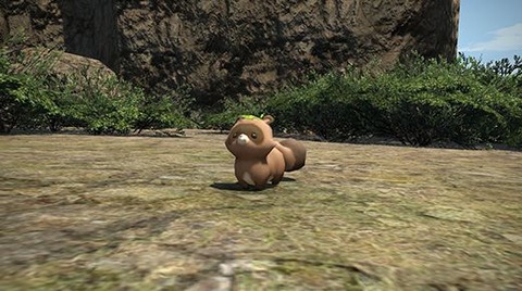 FF14_SS000545